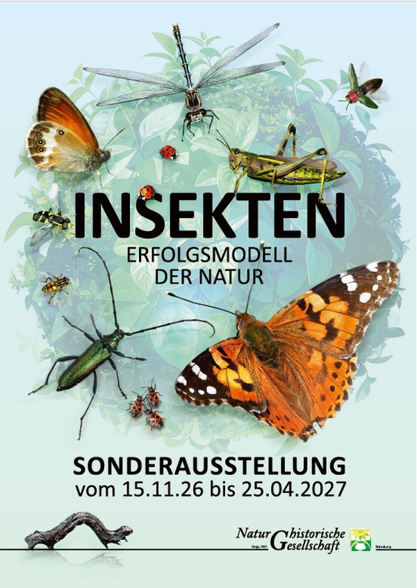Bild zum Programm